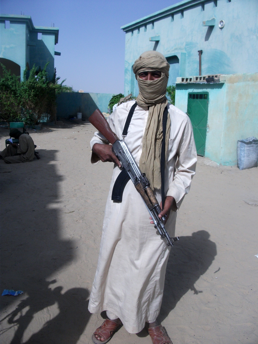 THE WESTERN SAHEL IN THE CONTEXT OF GLOBAL CHANGES: POLITICAL AND ECONOMIC DYNAMICS