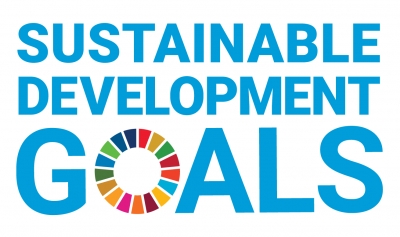 Chamada de artigos - A &Aacute;frica Subsariana e Objetivos de Desenvolvimento Sustent&aacute;vel