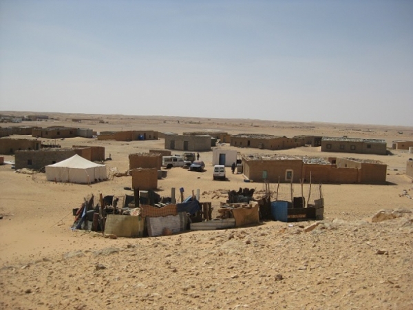 Western Sahara - Genesis of the conflict and the On-going War
