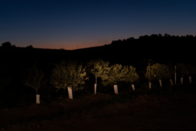 The cost of agricultural produce in Portugal&rsquo;s Alentejo region