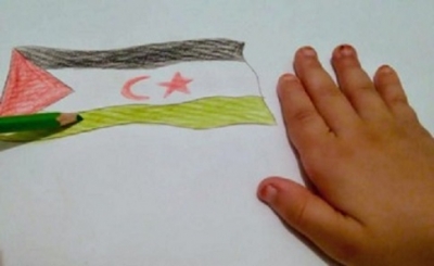 Public Release of the Report Saharawi Children and Students under  Occupation