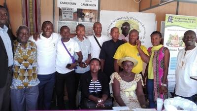 The Coooperative movement and the African Agricultural Cooperatives &ndash; Paths for wider cooperation