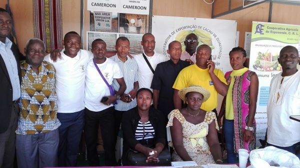 O movimento cooperativo e as cooperativas agr&iacute;colas africanas &ndash; pistas para uma maior coopera&ccedil;&atilde;o