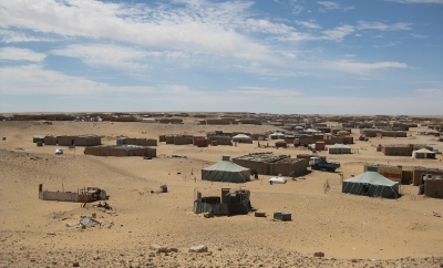 The 60th  Anniversary of the un Committee on Decolonization and the Western Sahara