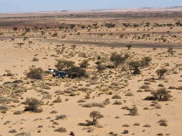 International Seminar - Basis for Scientific Cooperation in Western Sahara