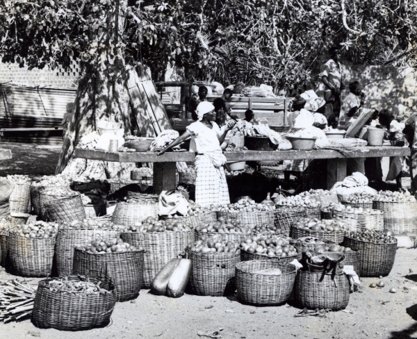 10th Conference CEAUP 2023-2024: Kuzumbuca: territorialidade, experi&ecirc;ncias sociais e consumo alimentar em Luanda (1949-1973)